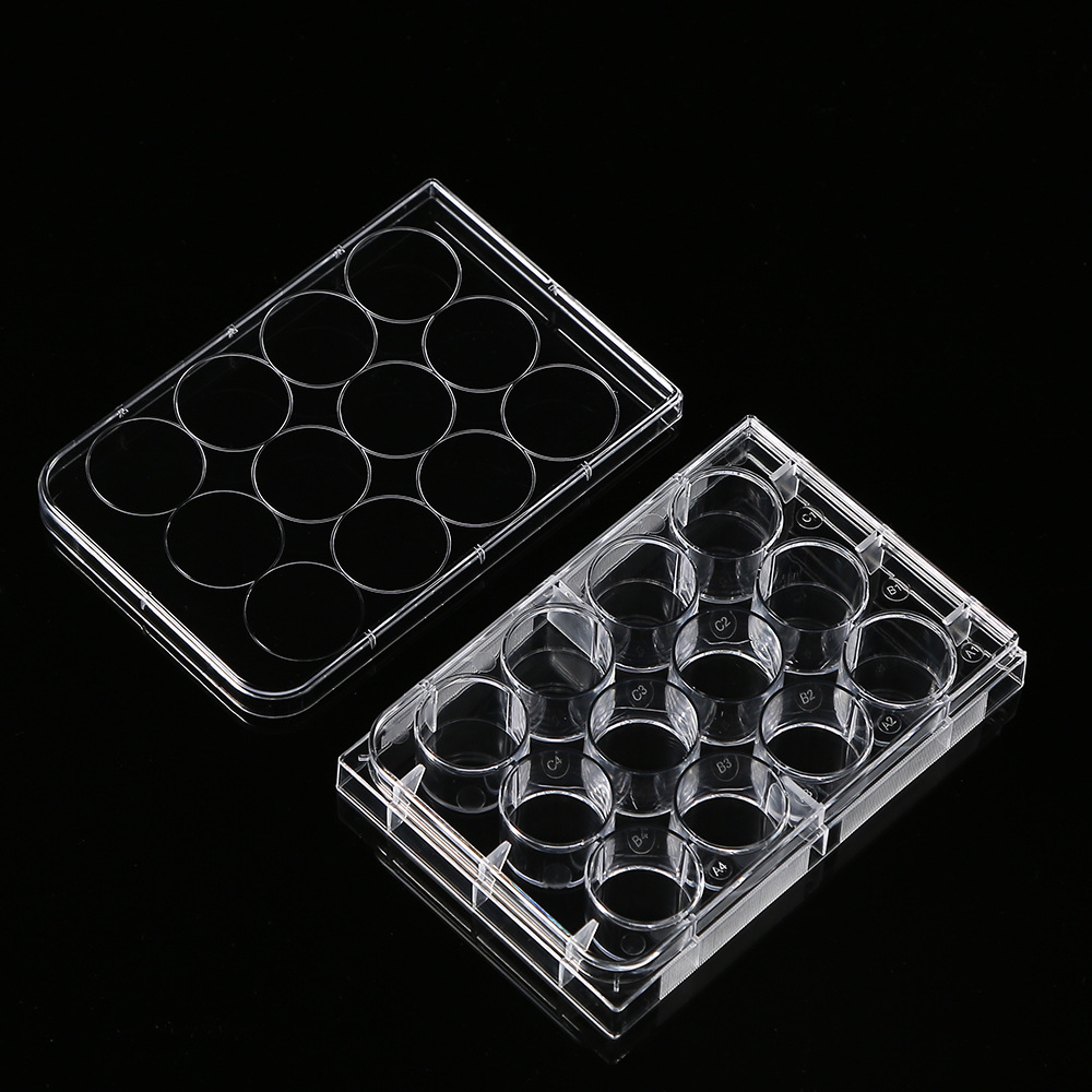 5Pcs Polystyrene 12 Well Petri - Medical Lab Supplies 评论和价格